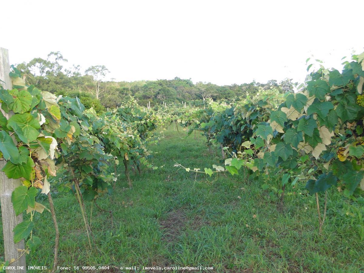 Fazenda, 18 hectares - Foto 15