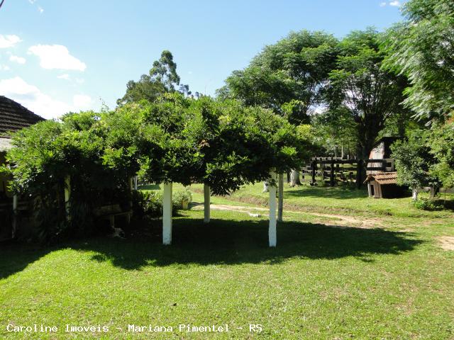 Fazenda, 63 hectares - Foto 14