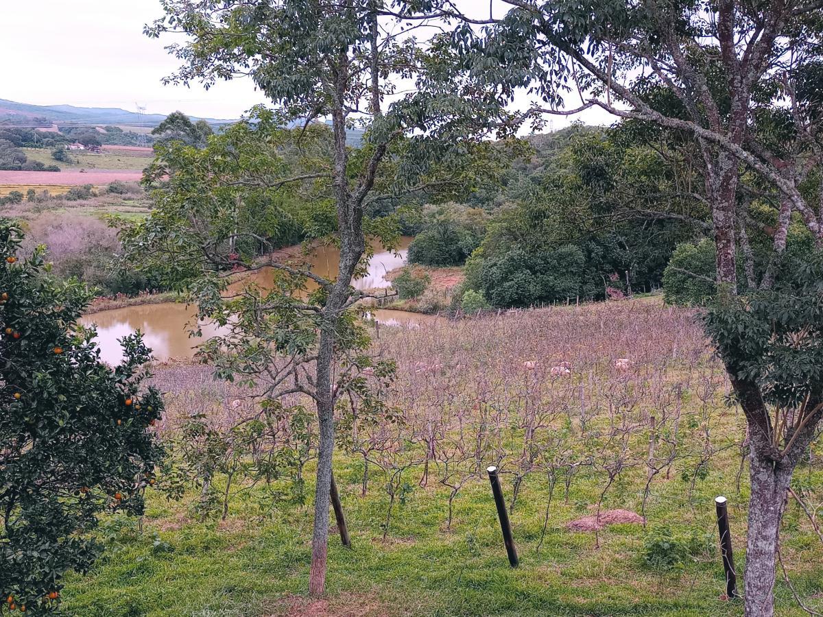 Fazenda, 23 hectares - Foto 3