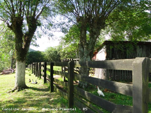 Fazenda, 63 hectares - Foto 15