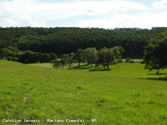 Fazenda, 63 hectares - Foto 19