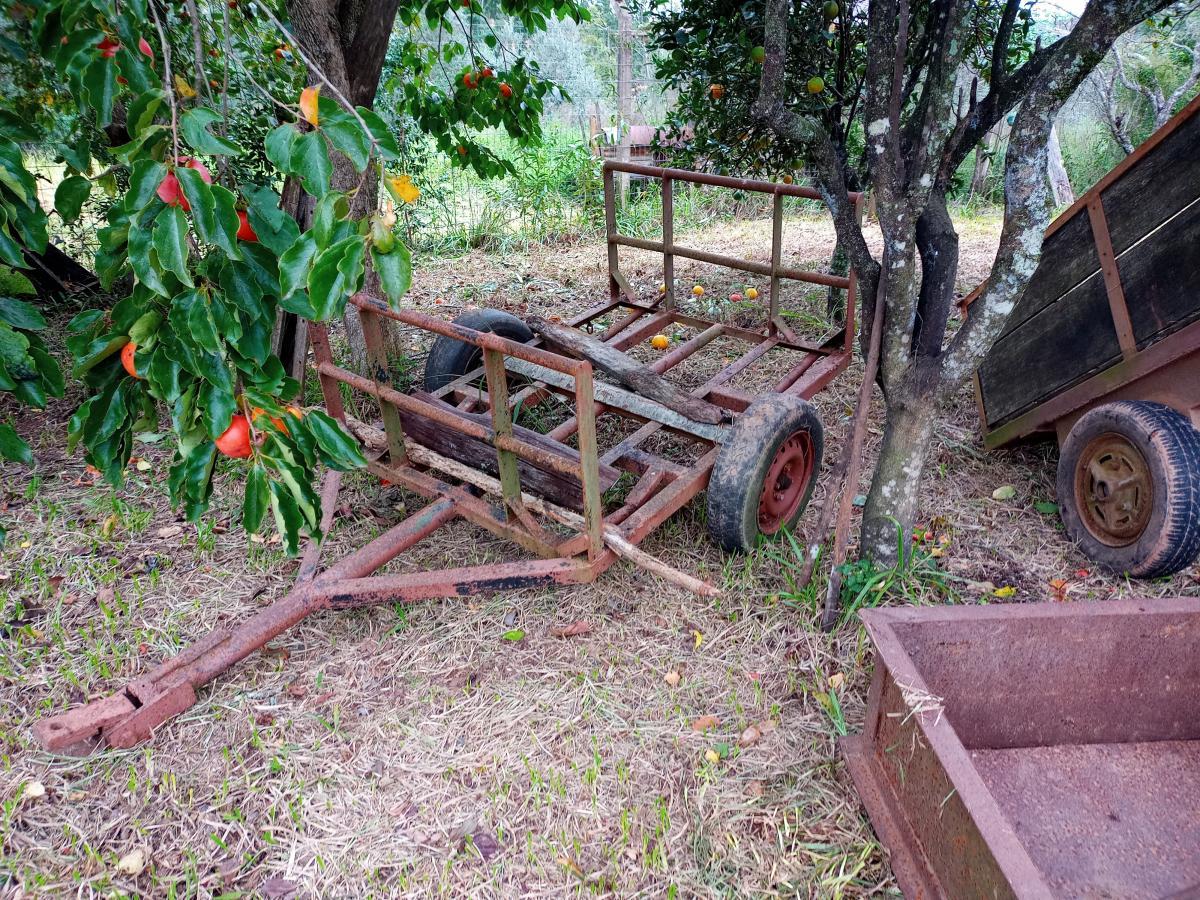 Fazenda, 23 hectares - Foto 21