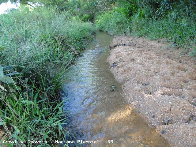 Fazenda, 63 hectares - Foto 20