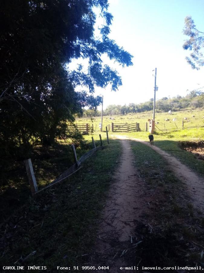 Fazenda, 18 hectares - Foto 19