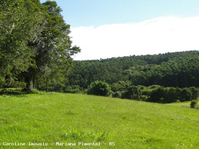 Fazenda, 63 hectares - Foto 23