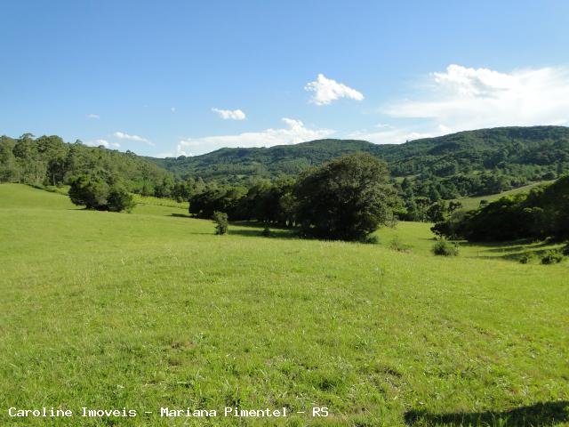 Fazenda, 63 hectares - Foto 25