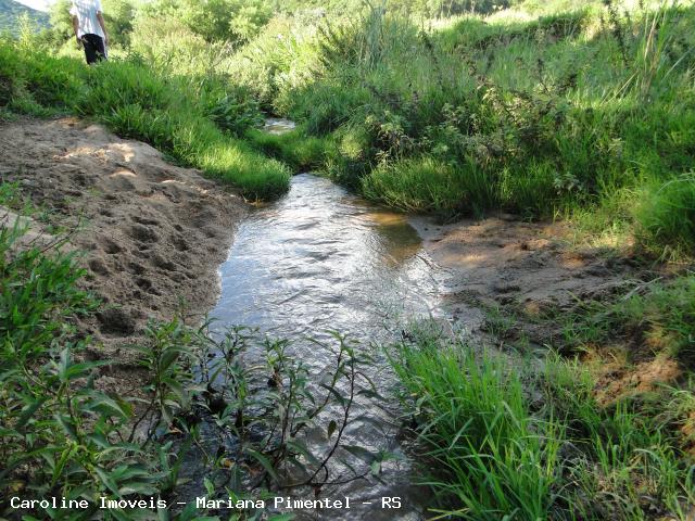 Fazenda, 63 hectares - Foto 26