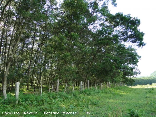 Fazenda, 63 hectares - Foto 27