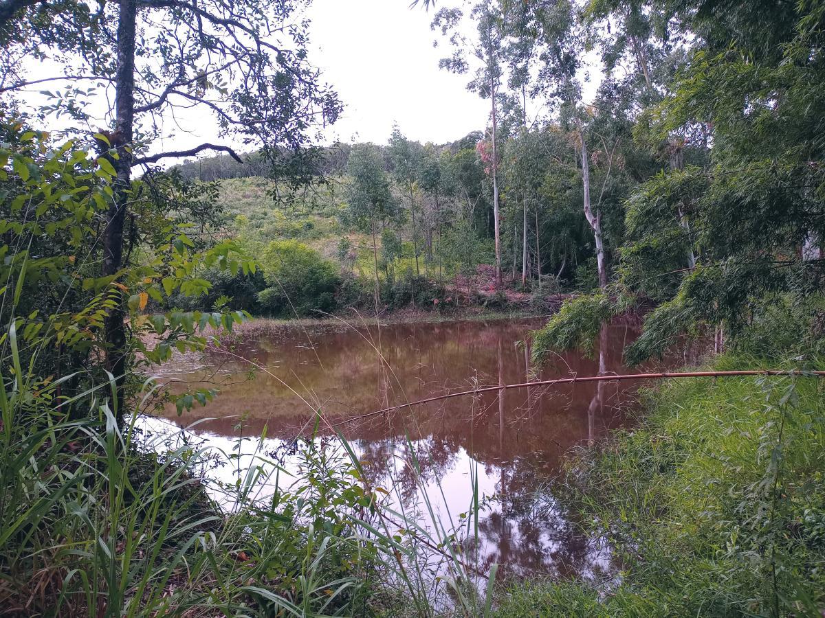 Fazenda, 23 hectares - Foto 28