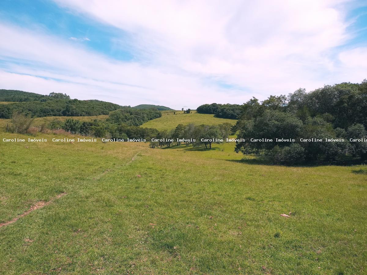 Fazenda, 63 hectares - Foto 32