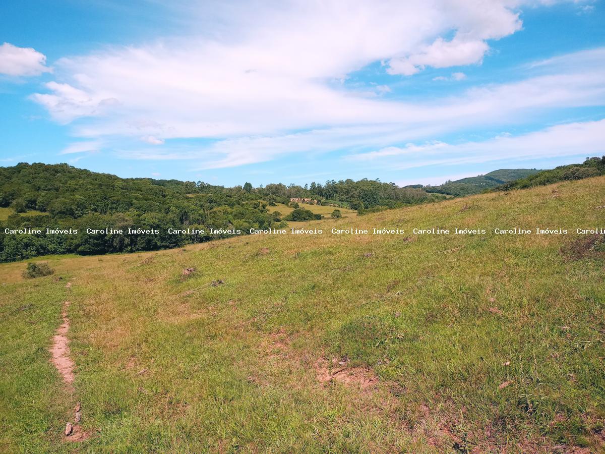 Fazenda, 63 hectares - Foto 37