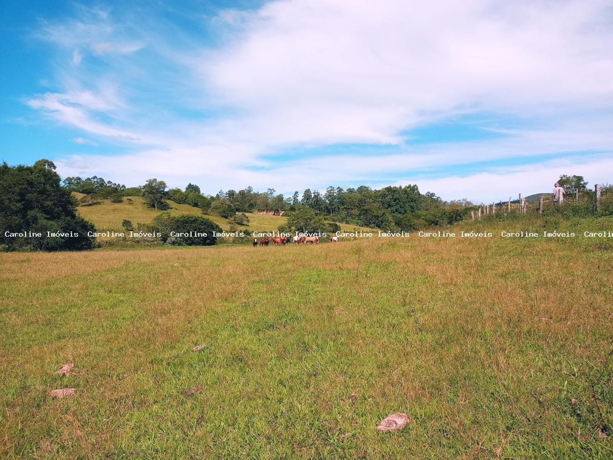 Fazenda, 63 hectares - Foto 45