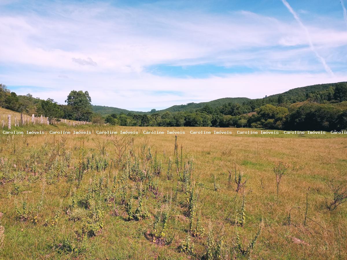 Fazenda, 63 hectares - Foto 47