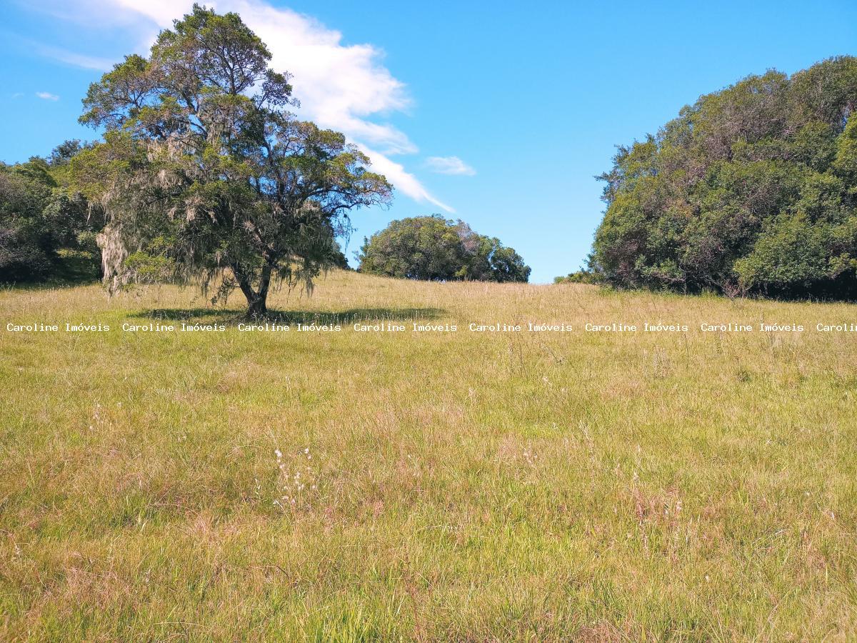 Fazenda, 63 hectares - Foto 48