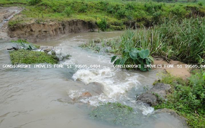 Sítio, 3 quartos, 14 hectares - Foto 6