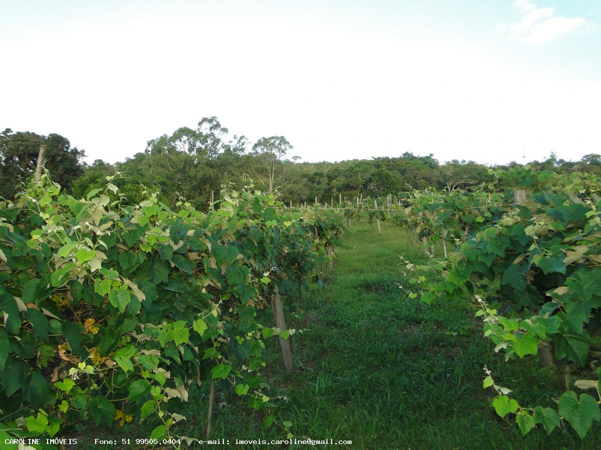 Fazenda, 18 hectares - Foto 14