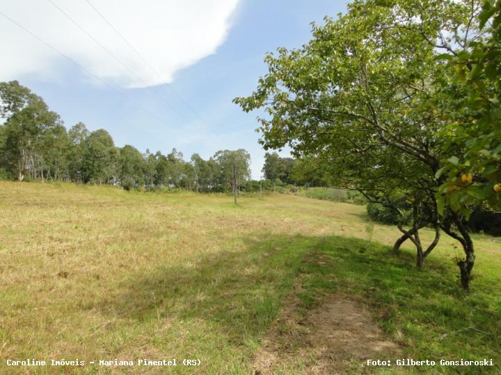 Chácara, 3 quartos, 2 hectares - Foto 19