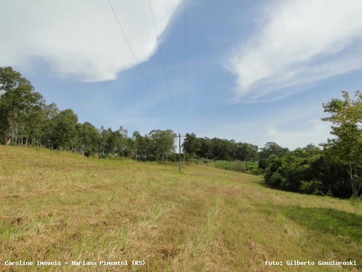 Chácara, 3 quartos, 2 hectares - Foto 20