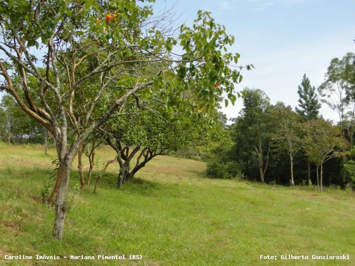 Chácara, 3 quartos, 2 hectares - Foto 21