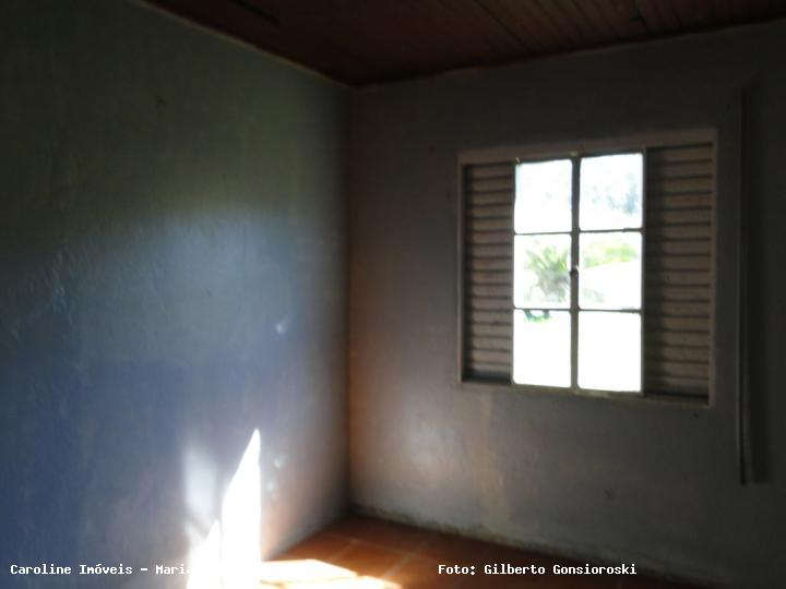 Chácara, 3 quartos, 2 hectares - Foto 11