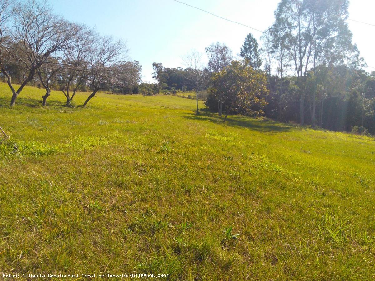 Chácara, 3 quartos, 2 hectares - Foto 22