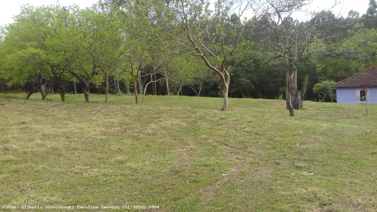 Chácara, 3 quartos, 2 hectares - Foto 25