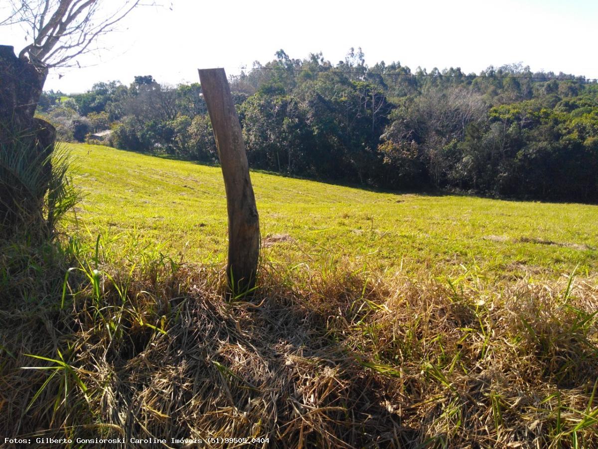 Chácara, 3 quartos, 2 hectares - Foto 26