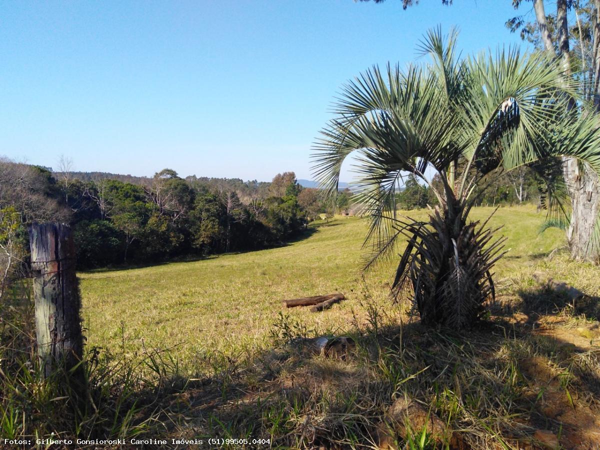 Chácara, 3 quartos, 2 hectares - Foto 30