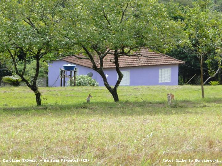 Chácara, 3 quartos, 2 hectares - Foto 7