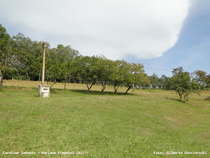 Chácara, 3 quartos, 2 hectares - Foto 18
