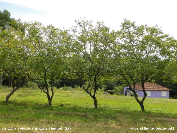 Chácara, 3 quartos, 2 hectares - Foto 17