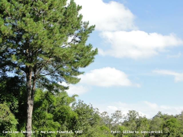 Sítio, 1 quarto, 13 m² - Foto 13