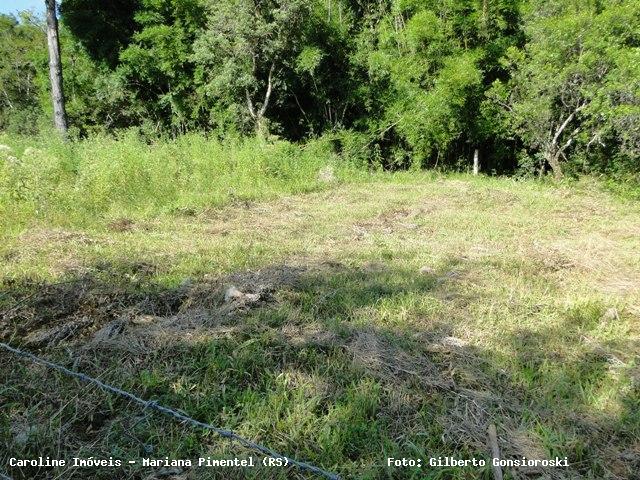 Sítio, 1 quarto, 13 m² - Foto 5