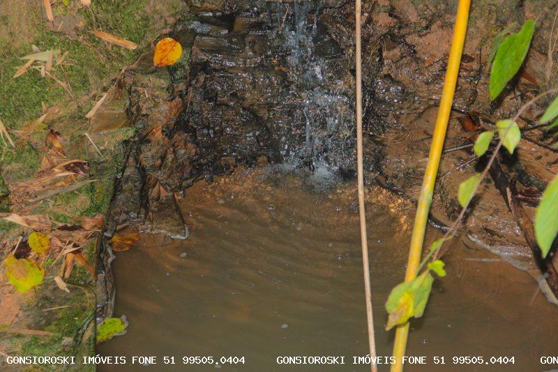 Sítio, 1 quarto, 13 m² - Foto 23