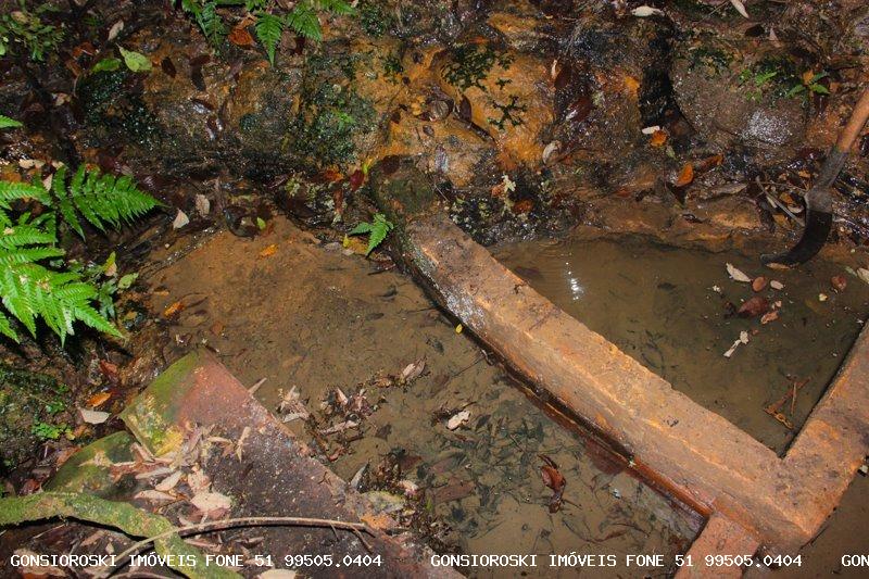 Sítio, 1 quarto, 13 m² - Foto 24