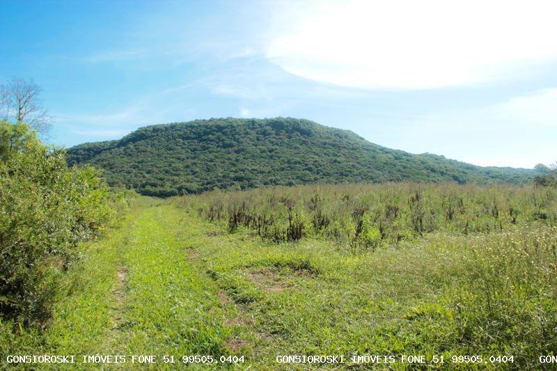 Sítio, 1 quarto, 13 m² - Foto 25