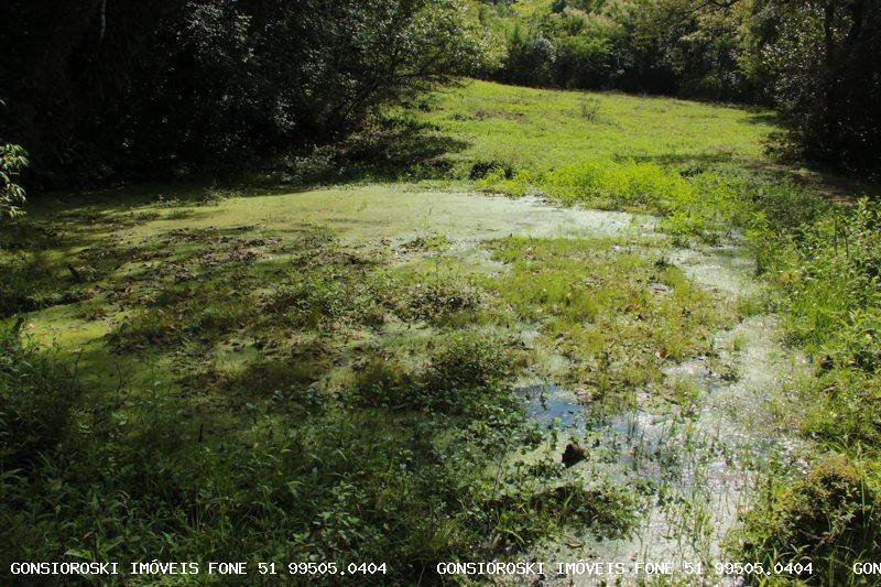 Sítio, 1 quarto, 13 m² - Foto 26