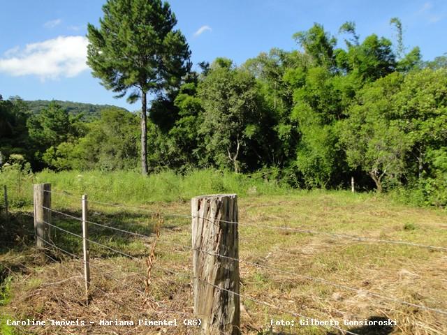 Sítio, 1 quarto, 13 m² - Foto 3