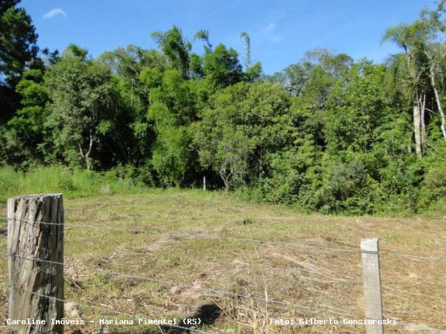 Sítio, 1 quarto, 13 m² - Foto 7