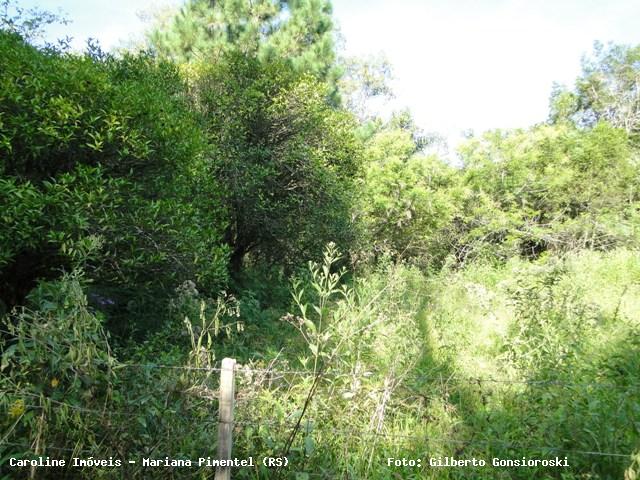 Sítio, 1 quarto, 13 m² - Foto 9