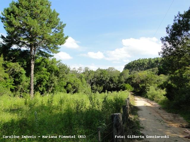 Sítio, 1 quarto, 13 m² - Foto 10