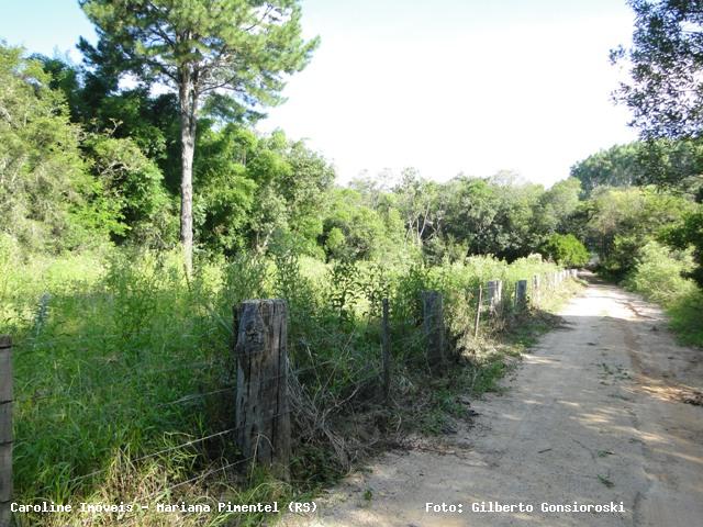 Sítio, 1 quarto, 13 m² - Foto 11