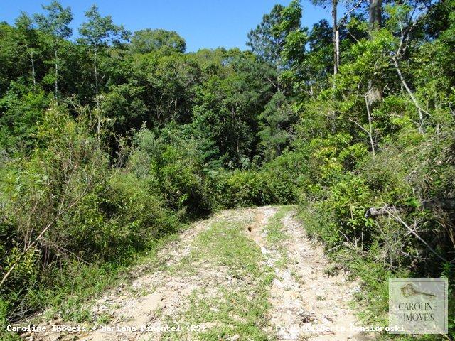 Loteamento e Condomínio, 32 hectares - Foto 10