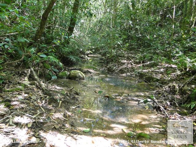 Loteamento e Condomínio, 32 hectares - Foto 12