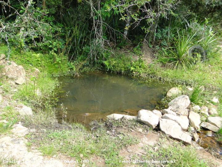 Sítio, 3 quartos, 16 hectares - Foto 11