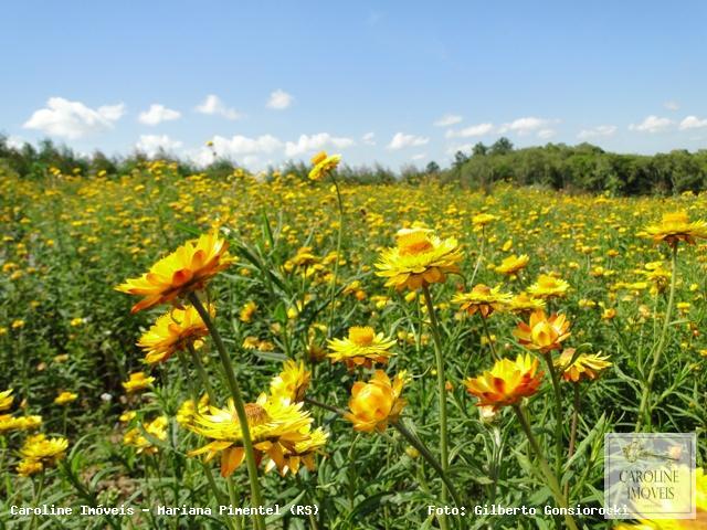 Loteamento e Condomínio, 32 hectares - Foto 32