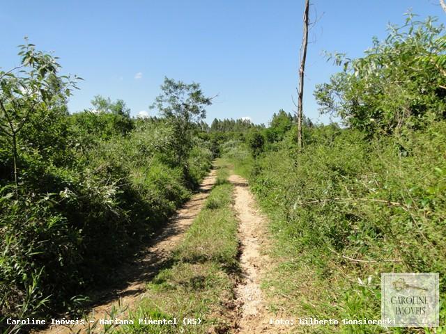 Loteamento e Condomínio, 32 hectares - Foto 13
