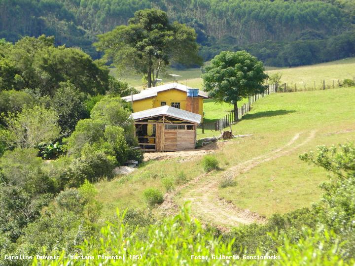 Sítio, 3 quartos, 16 hectares - Foto 16