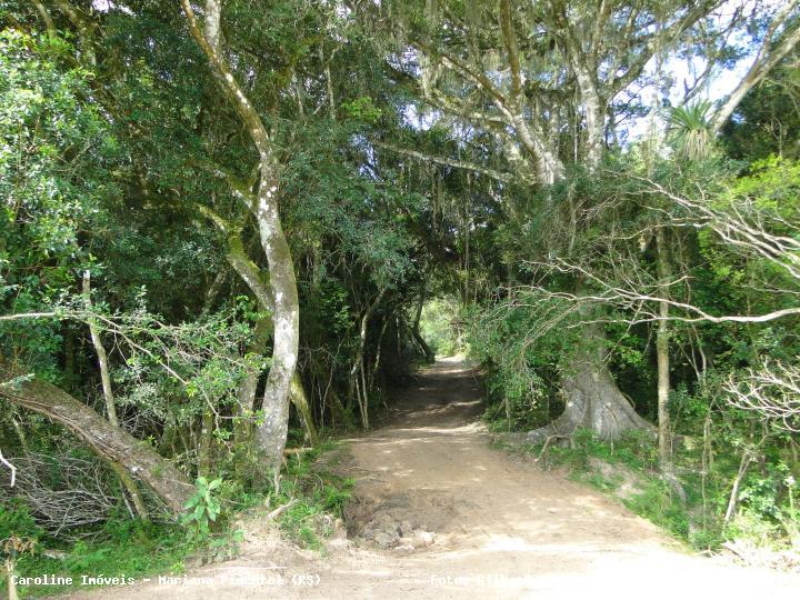 Sítio, 3 quartos, 16 hectares - Foto 17