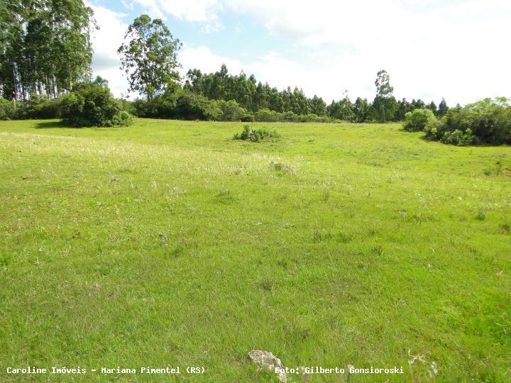 Sítio, 3 quartos, 16 hectares - Foto 20